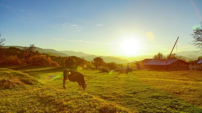 Artvin Karçal Dağları'nda sonbahar güzelliği
